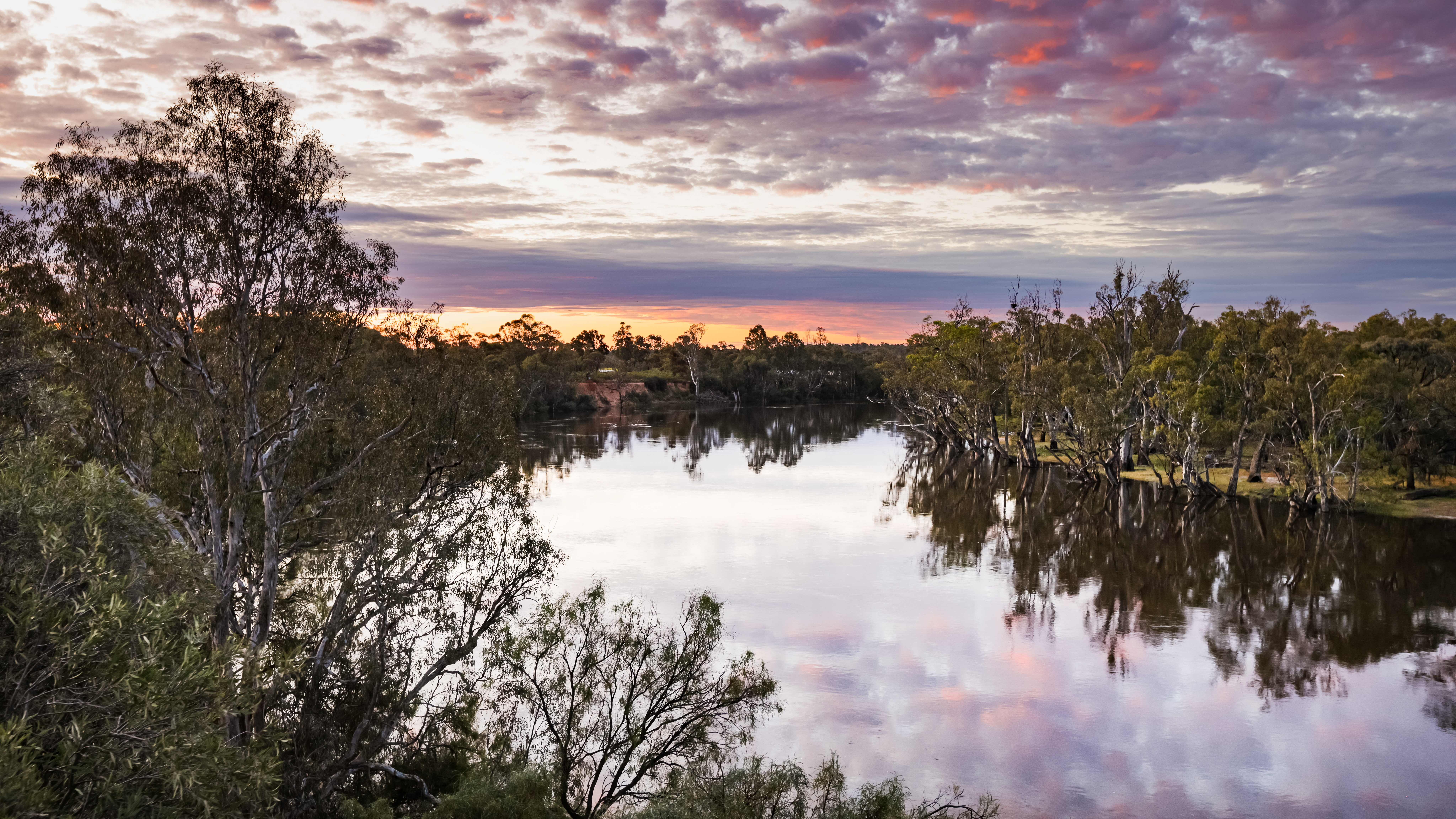 Sunset over the Murray River, with red gums reflected in still water