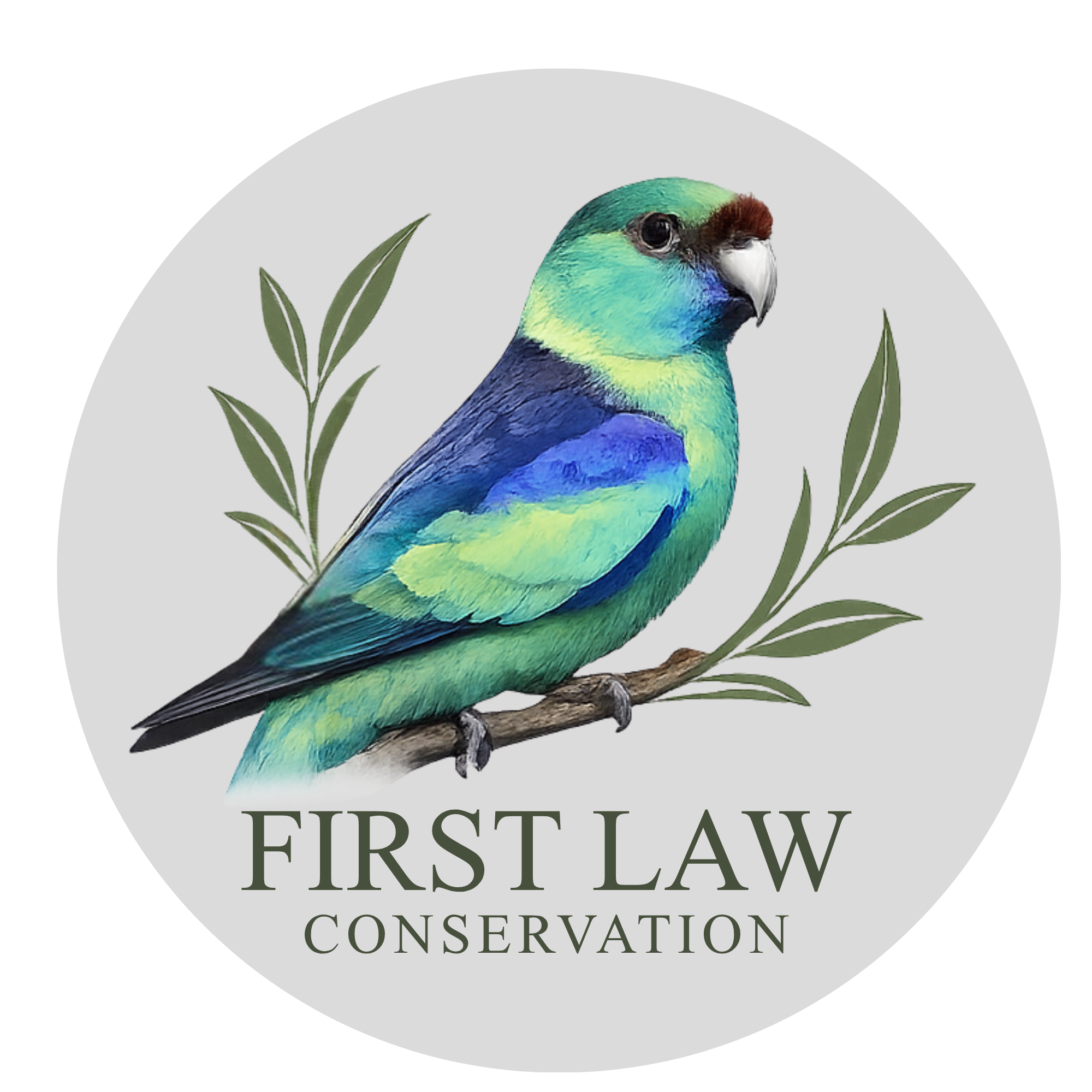 First Law Conservation logo, a Regent Parrot on a branch